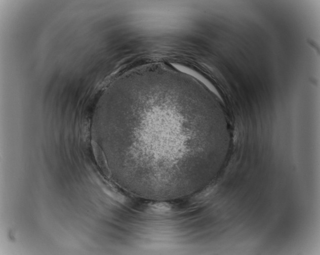 X0000099480409200805161139