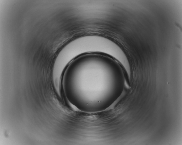 X0000099480411200805161139