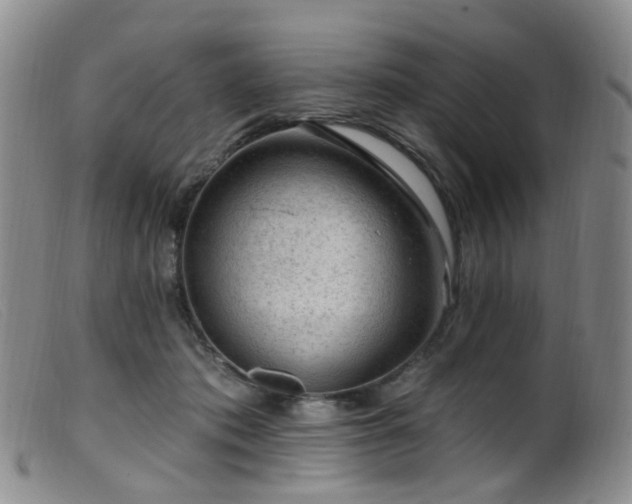 X0000099480413200805161139