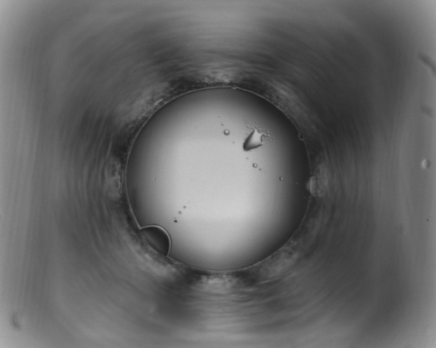 X0000099480414200805161139