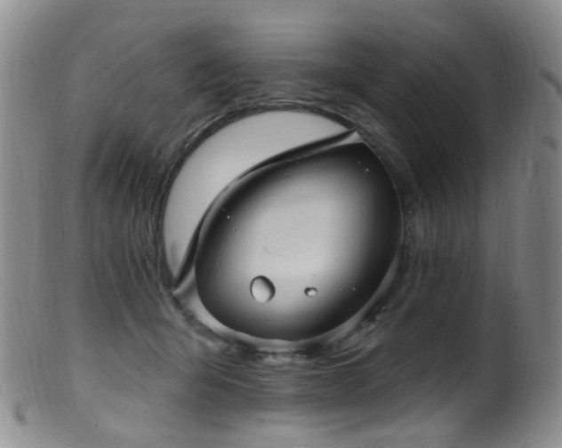 X0000099480415200805161139