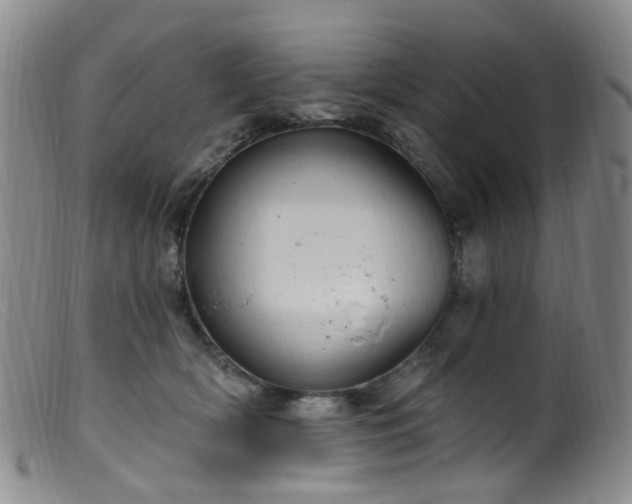 X0000099480418200805161139