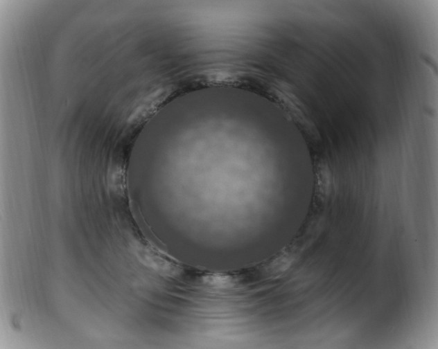X0000099480419200805161139