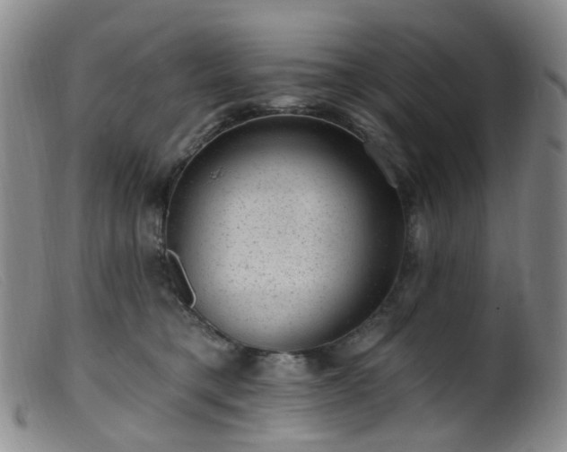 X0000099480421200805161139