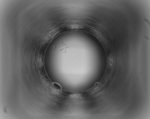 X0000099480422200805161139
