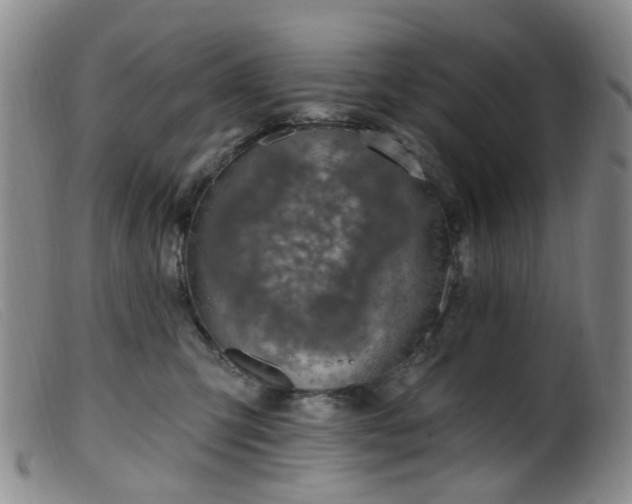 X0000099480423200805161139