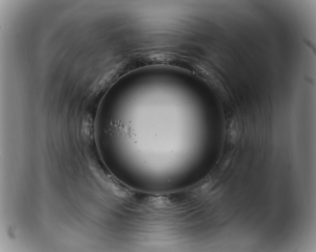 X0000099480424200805161139