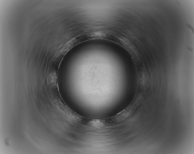 X0000099480425200805161139