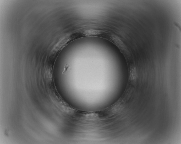 X0000099480426200805161139