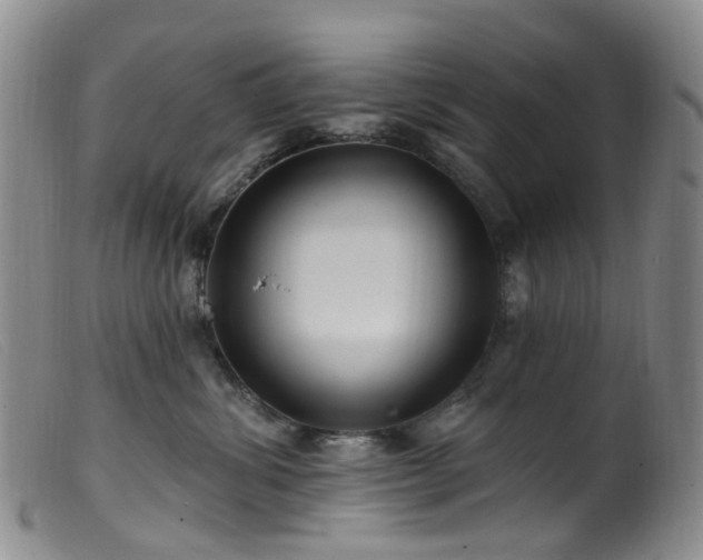 X0000099480428200805161139