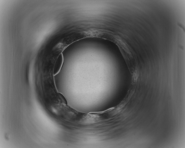 X0000099480429200805161139