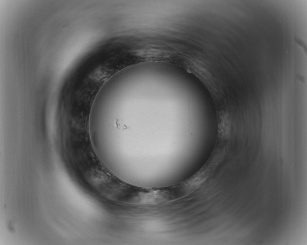 X0000099480430200805161139