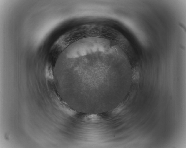 X0000099480431200805161139