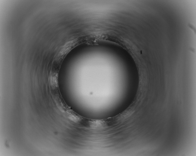 X0000099480432200805161139