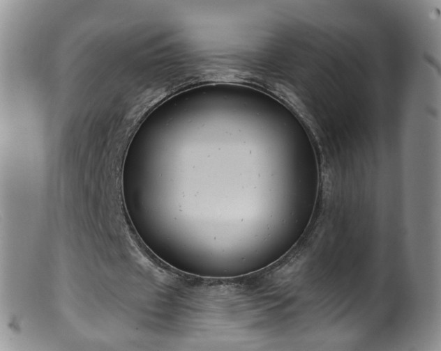 X0000099480433200805161138