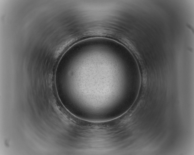 X0000099480434200805161138