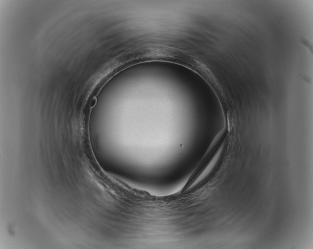 X0000099480435200805161138