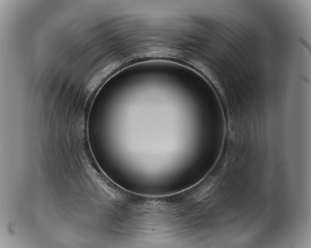 X0000099480437200805161138