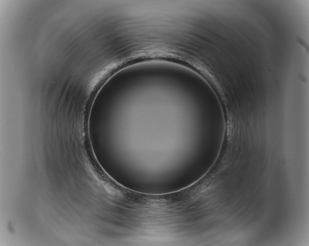X0000099480438200805161138