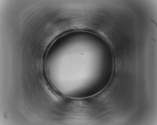 X0000099480439200805161138