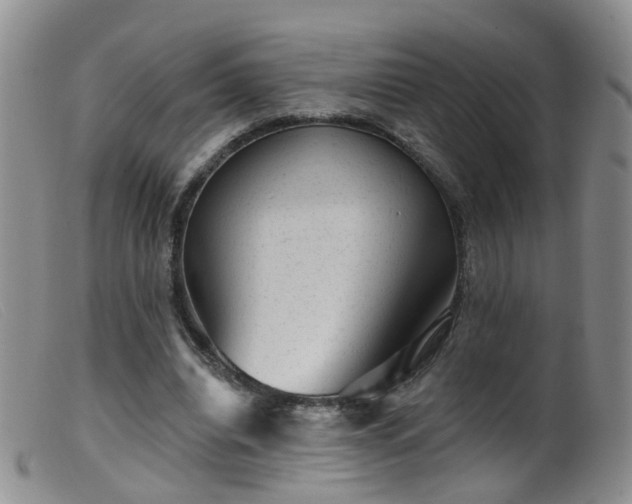 X0000099480440200805161138