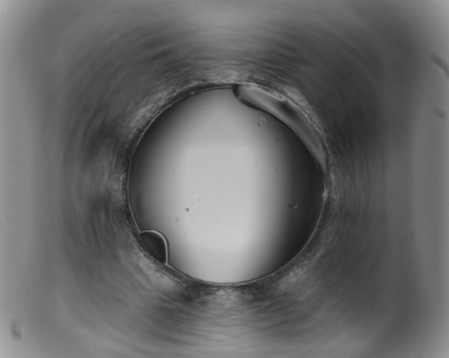 X0000099480441200805161138