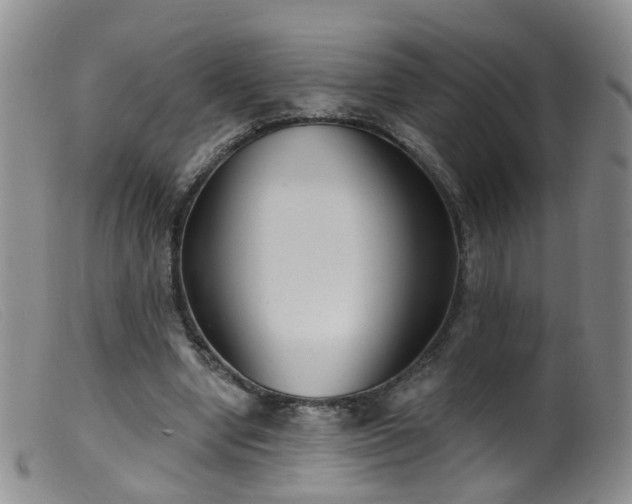 X0000099480442200805161138