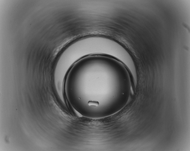 X0000099480444200805161138