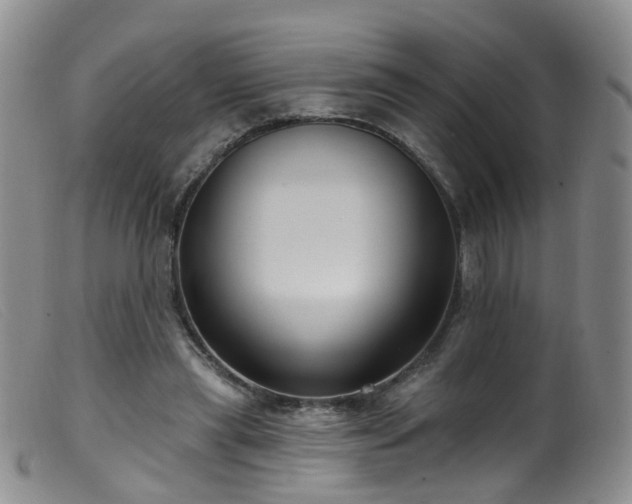 X0000099480445200805161138