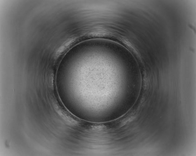 X0000099480446200805161138