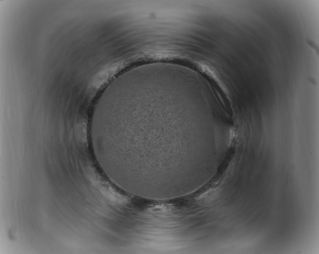 X0000099480447200805161138