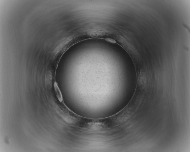 X0000099480448200805161139