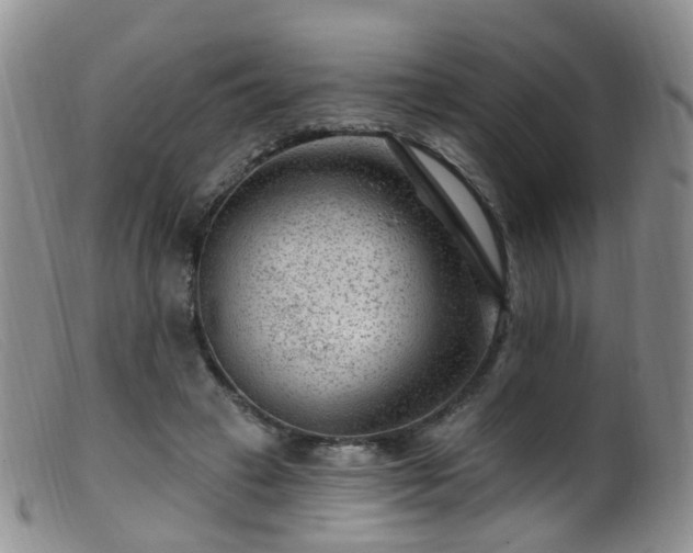 X0000099480449200805161139