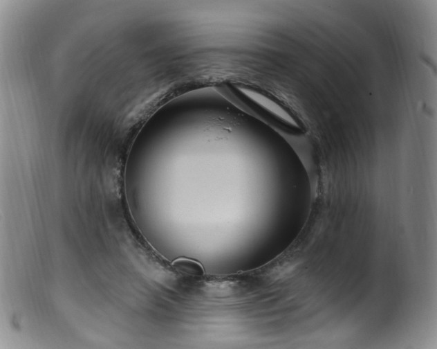 X0000099480450200805161139