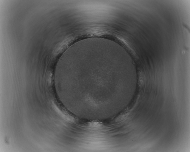 X0000099480451200805161139