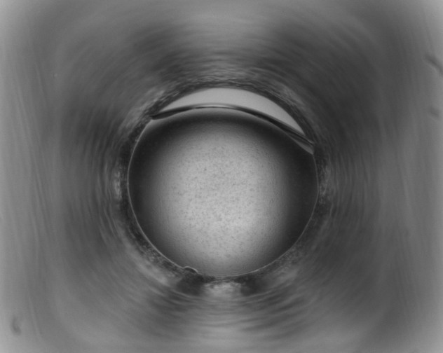 X0000099480452200805161139