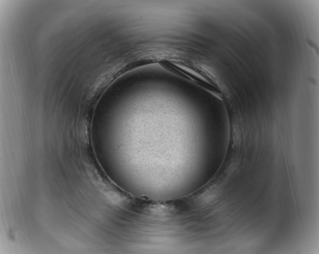 X0000099480453200805161139