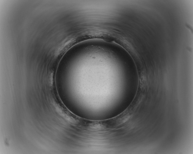 X0000099480454200805161139