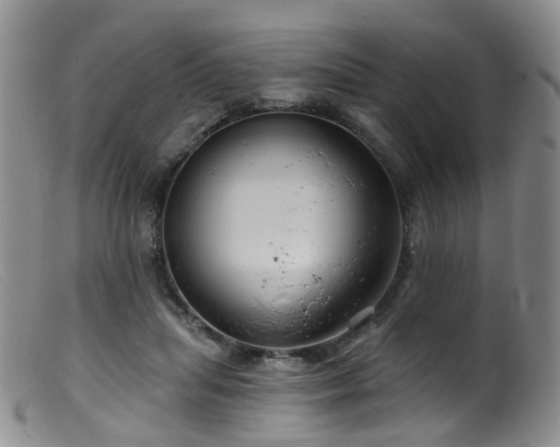 X0000099480455200805161139