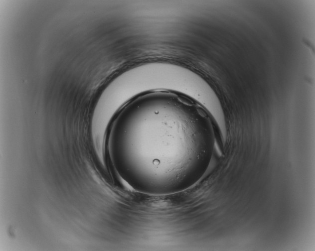 X0000099480456200805161139