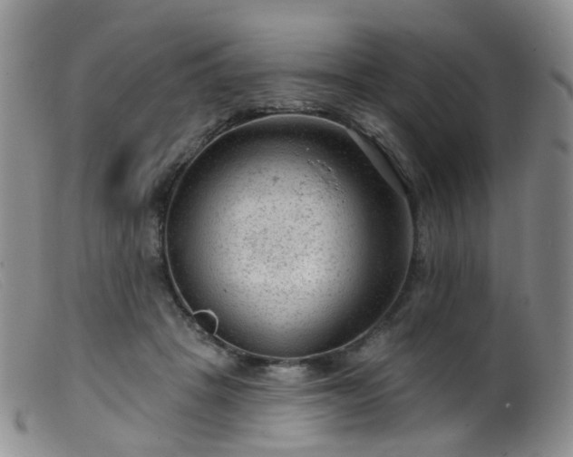 X0000099480457200805161139