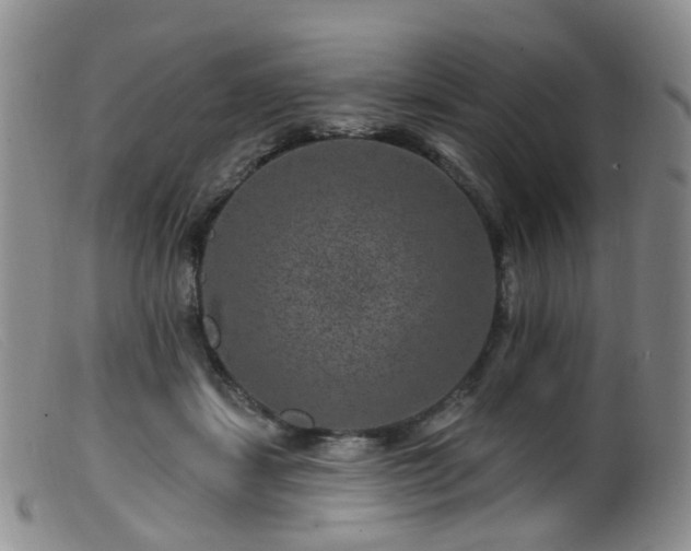 X0000099480459200805161139