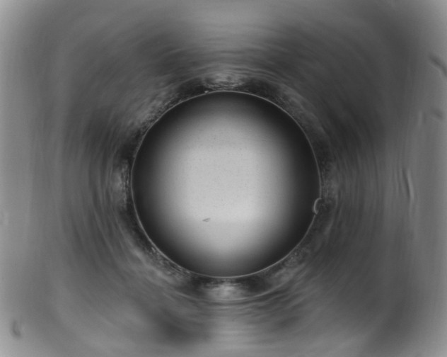 X0000099480460200805161139
