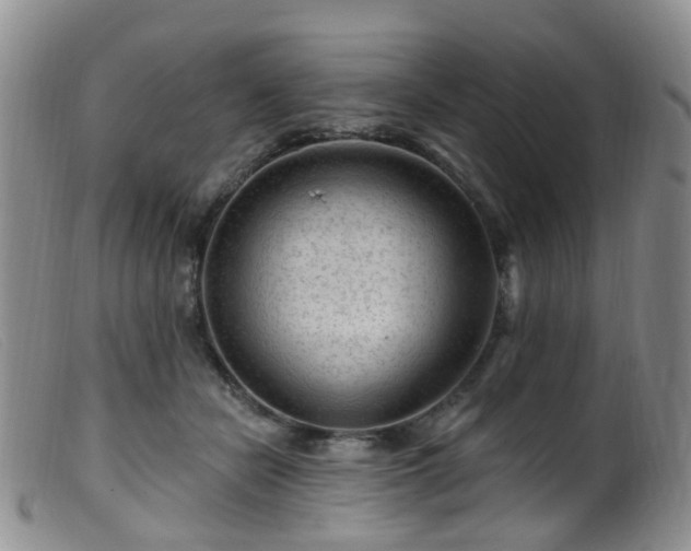 X0000099480462200805161139