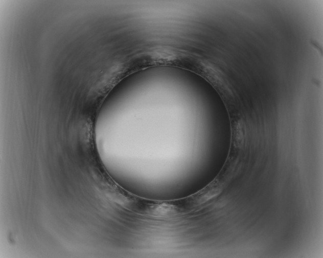 X0000099480463200805161139