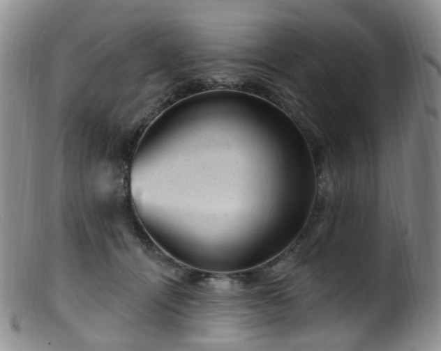 X0000099480464200805161139