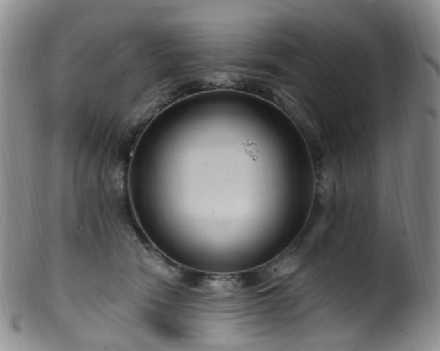X0000099480466200805161139