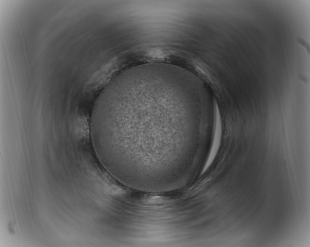 X0000099480467200805161139