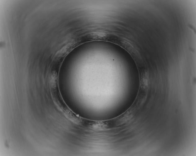 X0000099480468200805161139