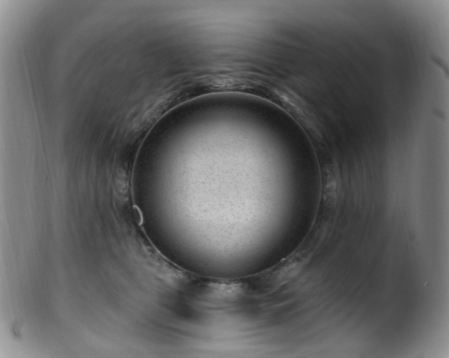 X0000099480469200805161139